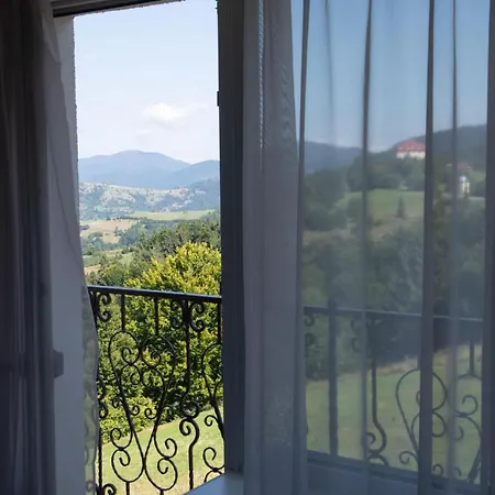 дбайлива ципа Bed & Breakfast Mizhhirya (Transcarpathia)