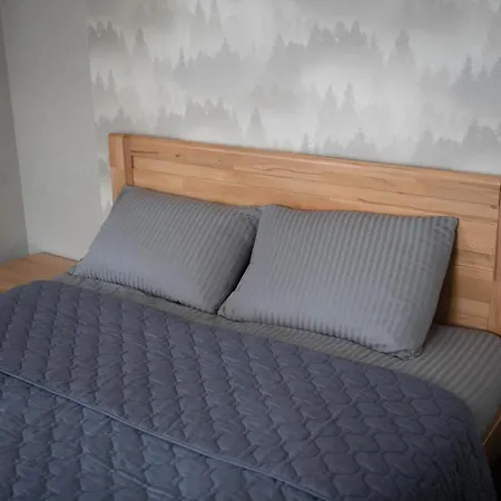 дбайлива ципа