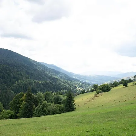 дбайлива ципа Bed & Breakfast