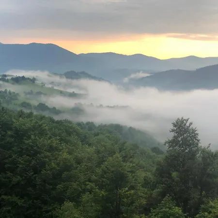 дбайлива ципа 3* Mizhhirya (Transcarpathia)