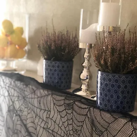 дбайлива ципа