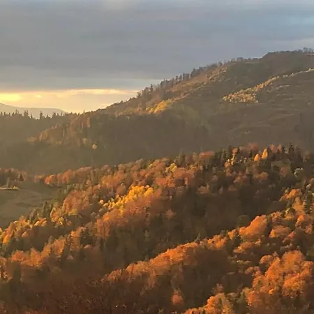 B&B дбайлива ципа Mizhhirya (Transcarpathia)