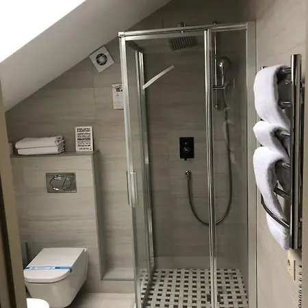 Bed & Breakfast дбайлива ципа Mizhhirya (Transcarpathia)