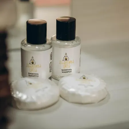 дбайлива ципа Bed & Breakfast Mizhhirya (Transcarpathia)