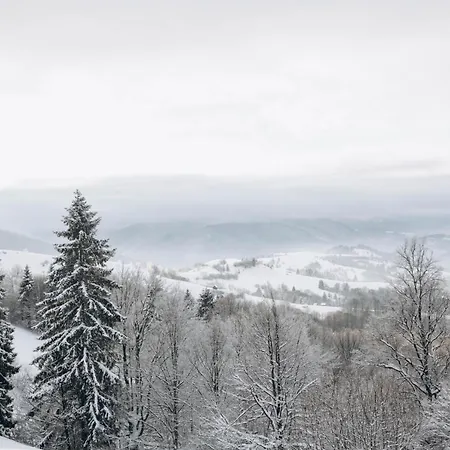 дбайлива ципа