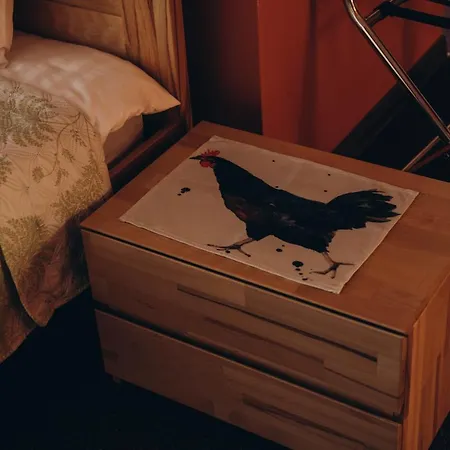 дбайлива ципа