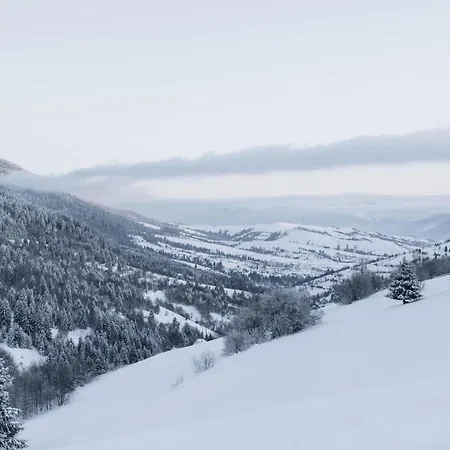 Nocleg ze śniadaniem дбайлива ципа Mizhhirya (Transcarpathia)
