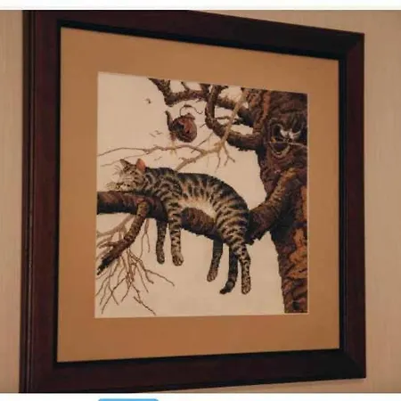 Bed & Breakfast дбайлива ципа Mizhhirya (Transcarpathia)