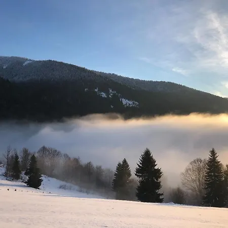 Couette-café дбайлива ципа Mizhhirya (Transcarpathia)