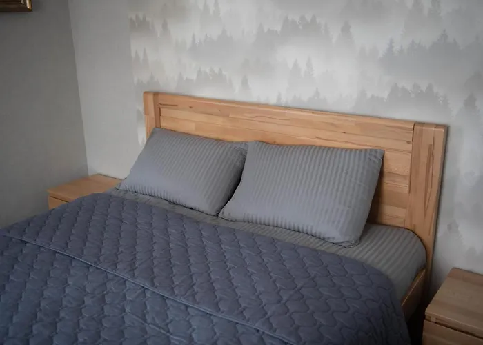 дбайлива ципа