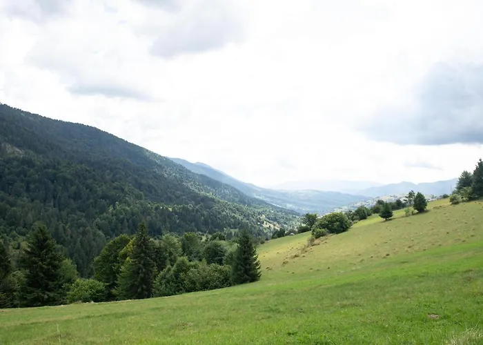 дбайлива ципа Bed & Breakfast