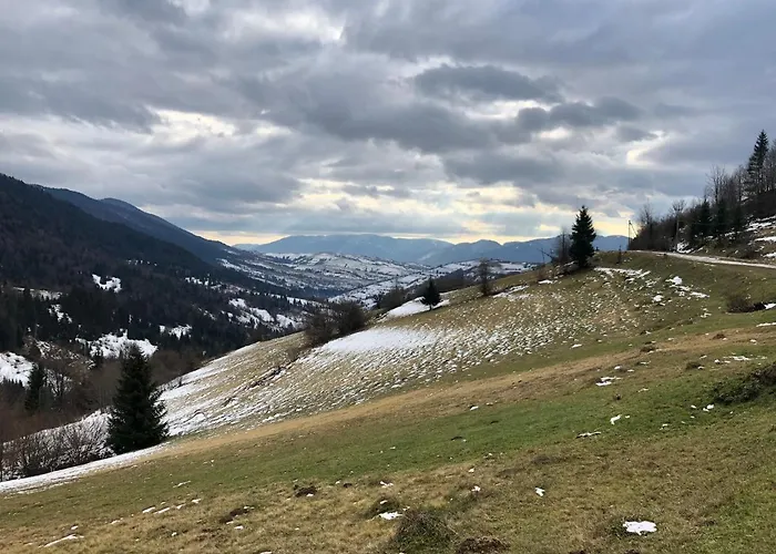 Bed & Breakfast дбайлива ципа Mizhhirya (Transcarpathia)