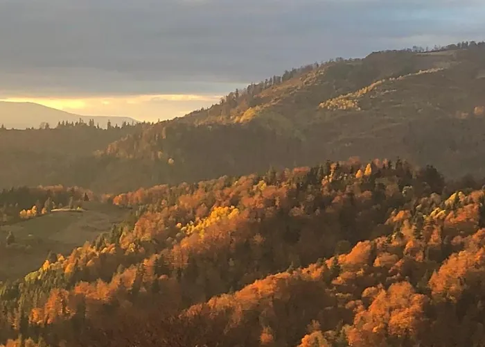 Bed & Breakfast дбайлива ципа Mizhhirya (Transcarpathia)