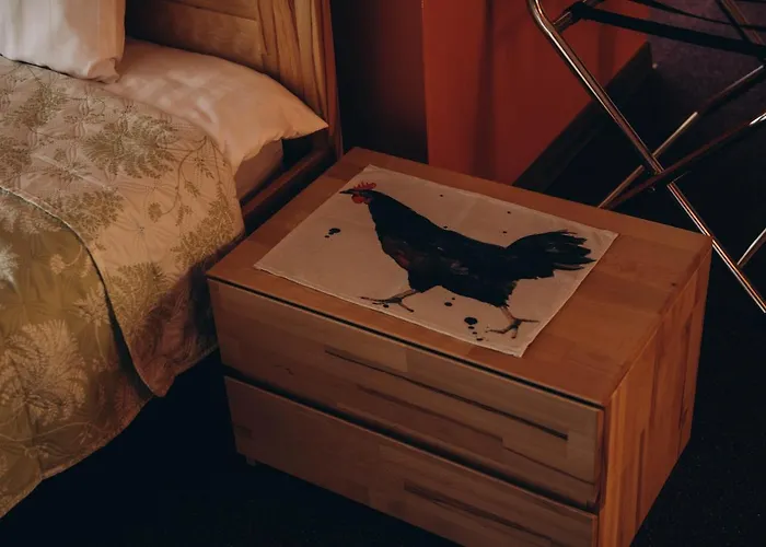 дбайлива ципа