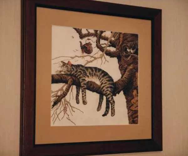 Bed & Breakfast дбайлива ципа Mizhhirya (Transcarpathia)