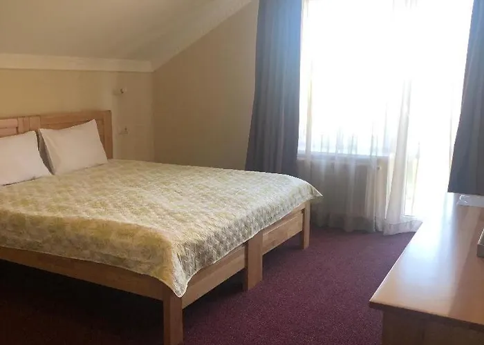 дбайлива ципа 3* Mizhhirya (Transcarpathia)