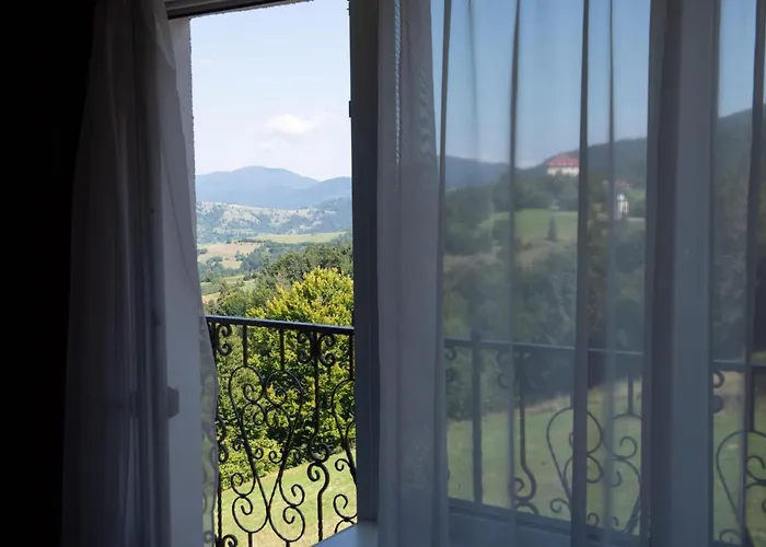 дбайлива ципа Bed & Breakfast Mizhhirya (Transcarpathia)
