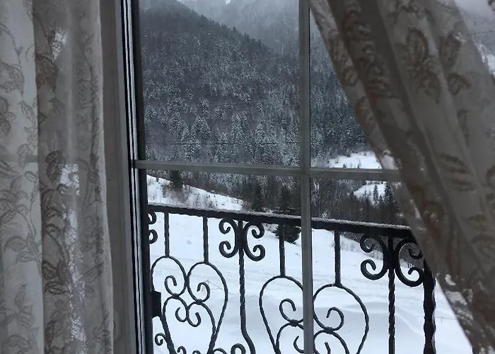 дбайлива ципа Mizhhirya (Transcarpathia)